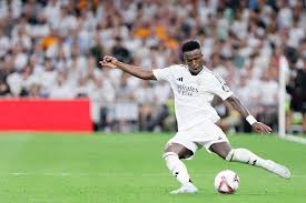 包括哈兰德 包括哈兰德